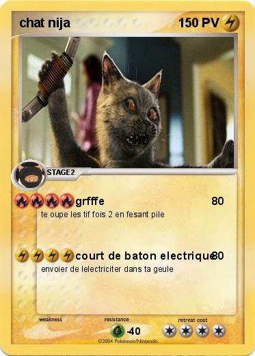 Pokemon chat nija