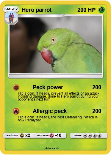 Pokemon Hero parrot