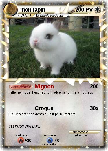 Pokemon mon lapin