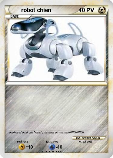 Pokemon robot chien