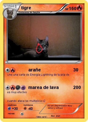 Pokemon tigre