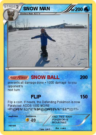 Pokemon SNOW MAN