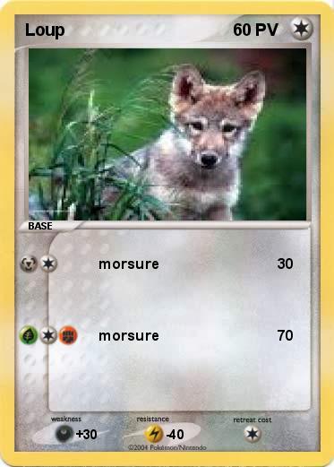 Pokemon Loup
