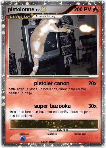 Pokemon pistolonne