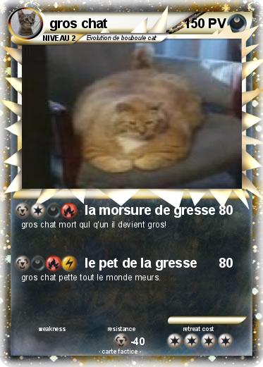 Pokemon gros chat