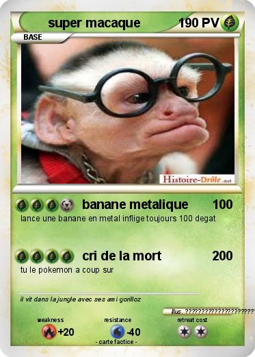 Pokemon super macaque