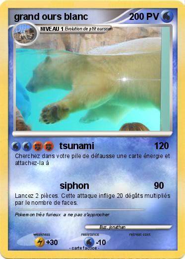 Pokemon grand ours blanc