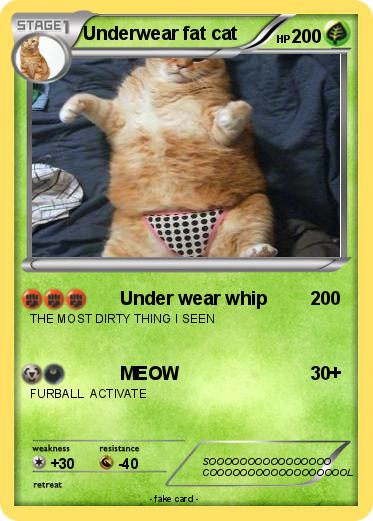 Pokemon Underwear fat cat