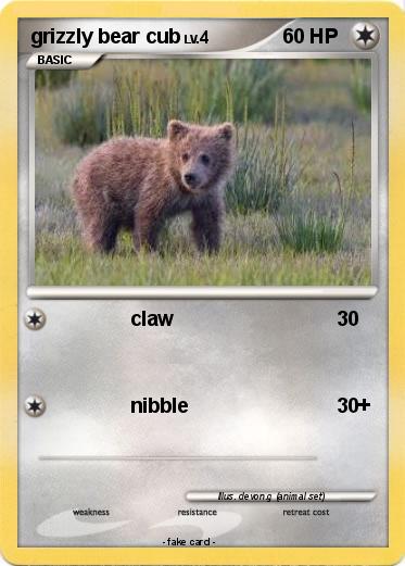Pokemon grizzly bear cub