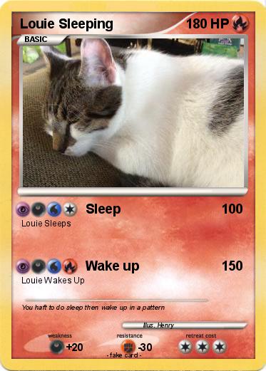 Pokemon Louie Sleeping