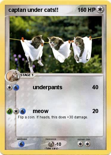 Pokemon captan under cats!!