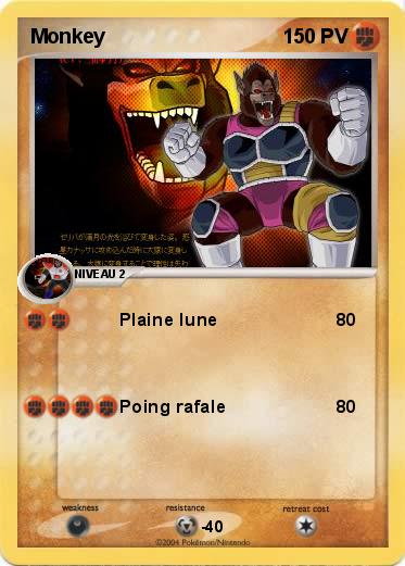Pokemon Monkey