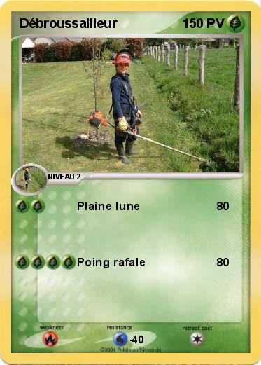 Pokemon Débroussailleur
