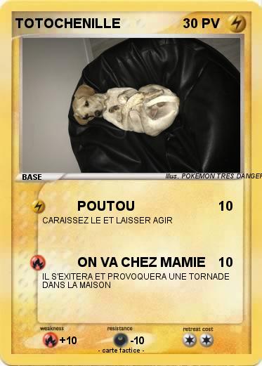 Pokemon TOTOCHENILLE