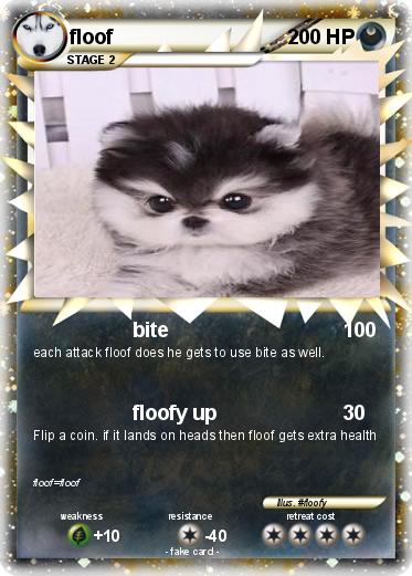 Pokemon floof
