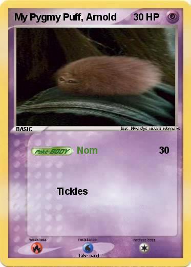 Pokemon My Pygmy Puff, Arnold