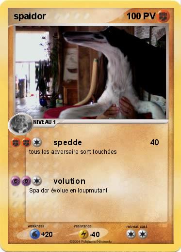 Pokemon spaidor