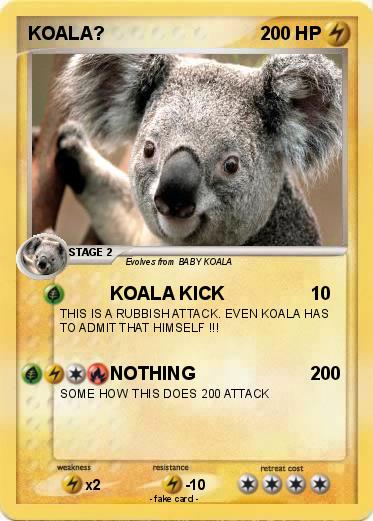 Pokemon KOALA?