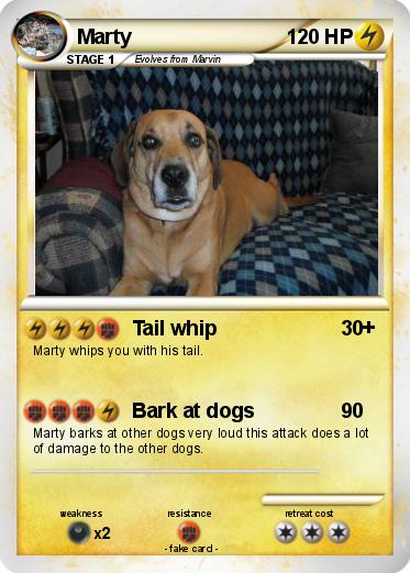 Pokemon Marty