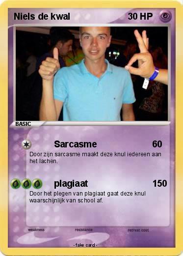 Pokemon Niels de kwal