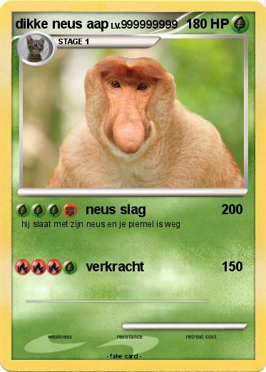 Pokemon dikke neus aap