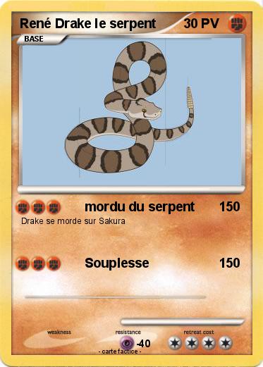 Pokemon René Drake le serpent