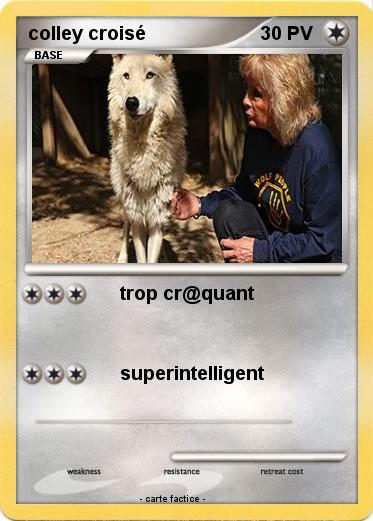 Pokemon colley croisé