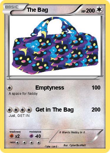 Pokemon The Bag