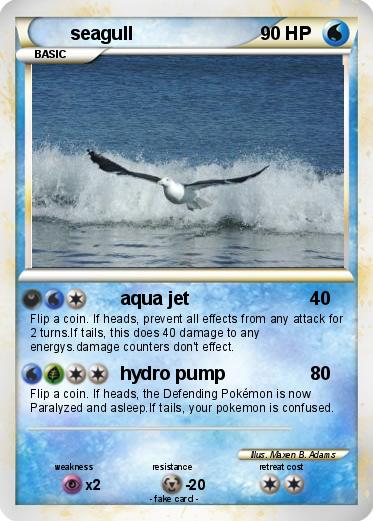 Pokemon seagull