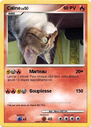 Pokemon Caline