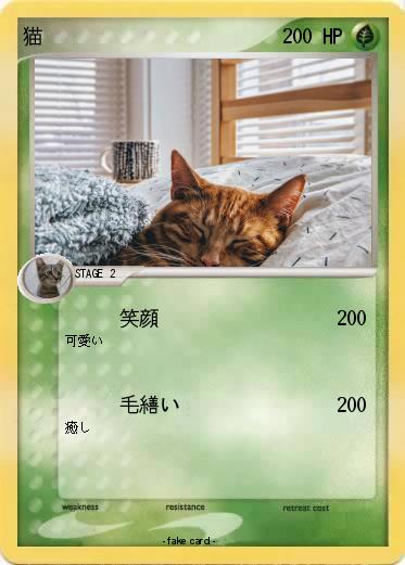 Pokemon 猫