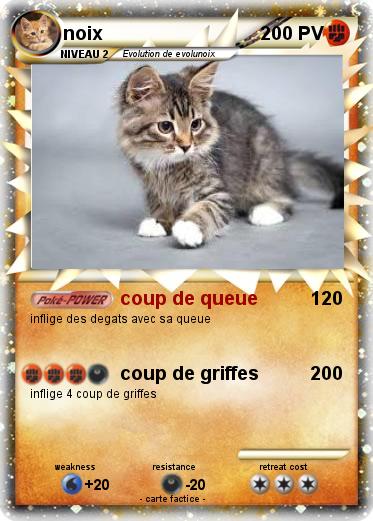 Pokemon noix