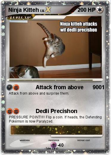 Pokemon Ninja Kitteh