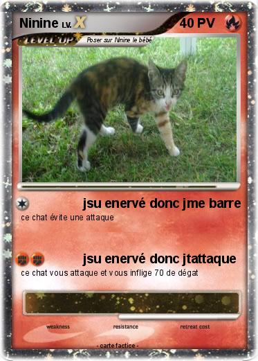 Pokemon Ninine
