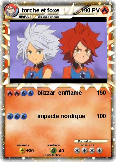 Pokemon torche et foxe