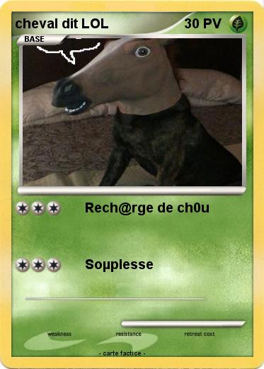 Pokemon cheval dit LOL