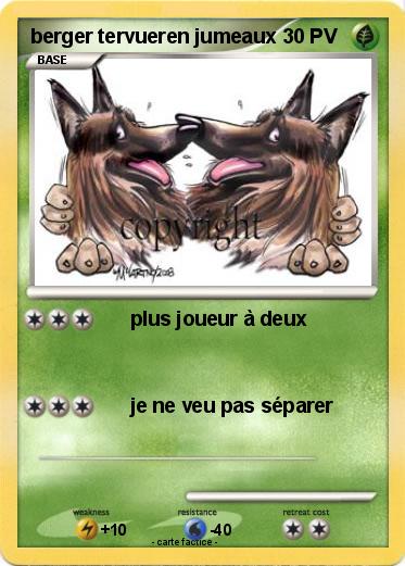 Pokemon berger tervueren jumeaux