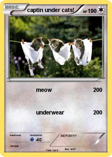 Pokemon captin under cats!