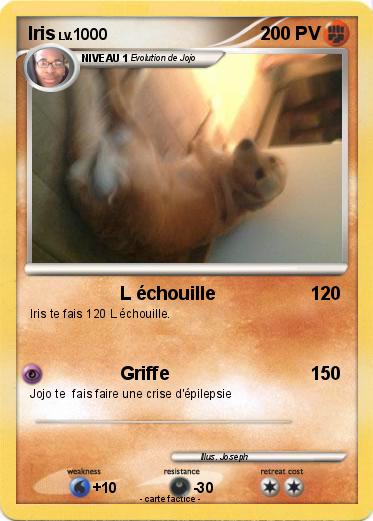 Pokemon Iris