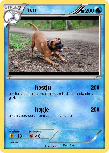 Pokemon fien