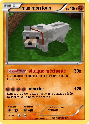 Pokemon max mon loup