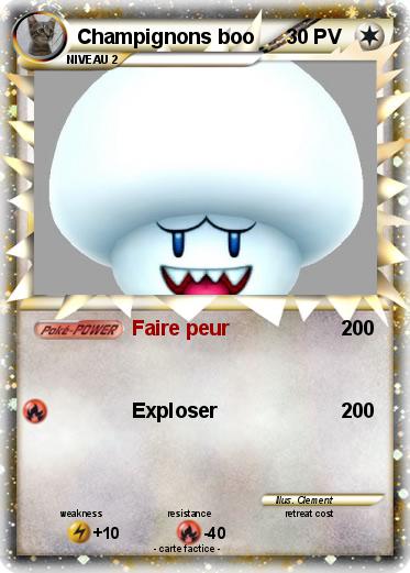 Pokemon Champignons boo