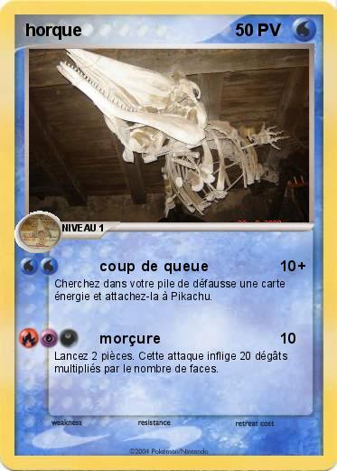 Pokemon horque