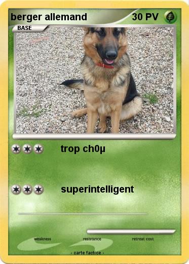 Pokemon berger allemand