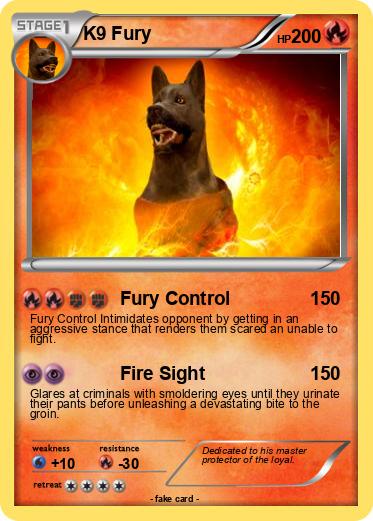 Pokemon K9 Fury