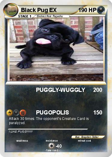 Pokemon Black Pug EX