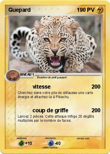 Pokemon Guepard
