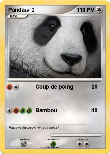 Pokemon Panda