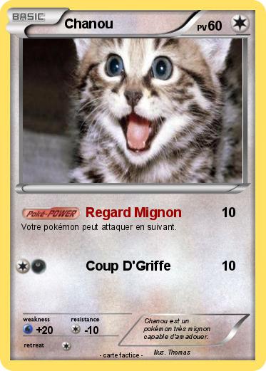 Pokemon Chanou