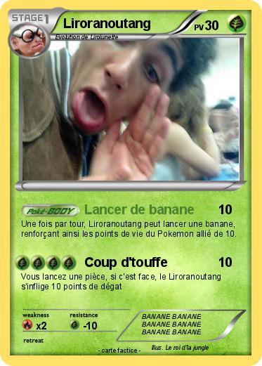 Pokemon Liroranoutang